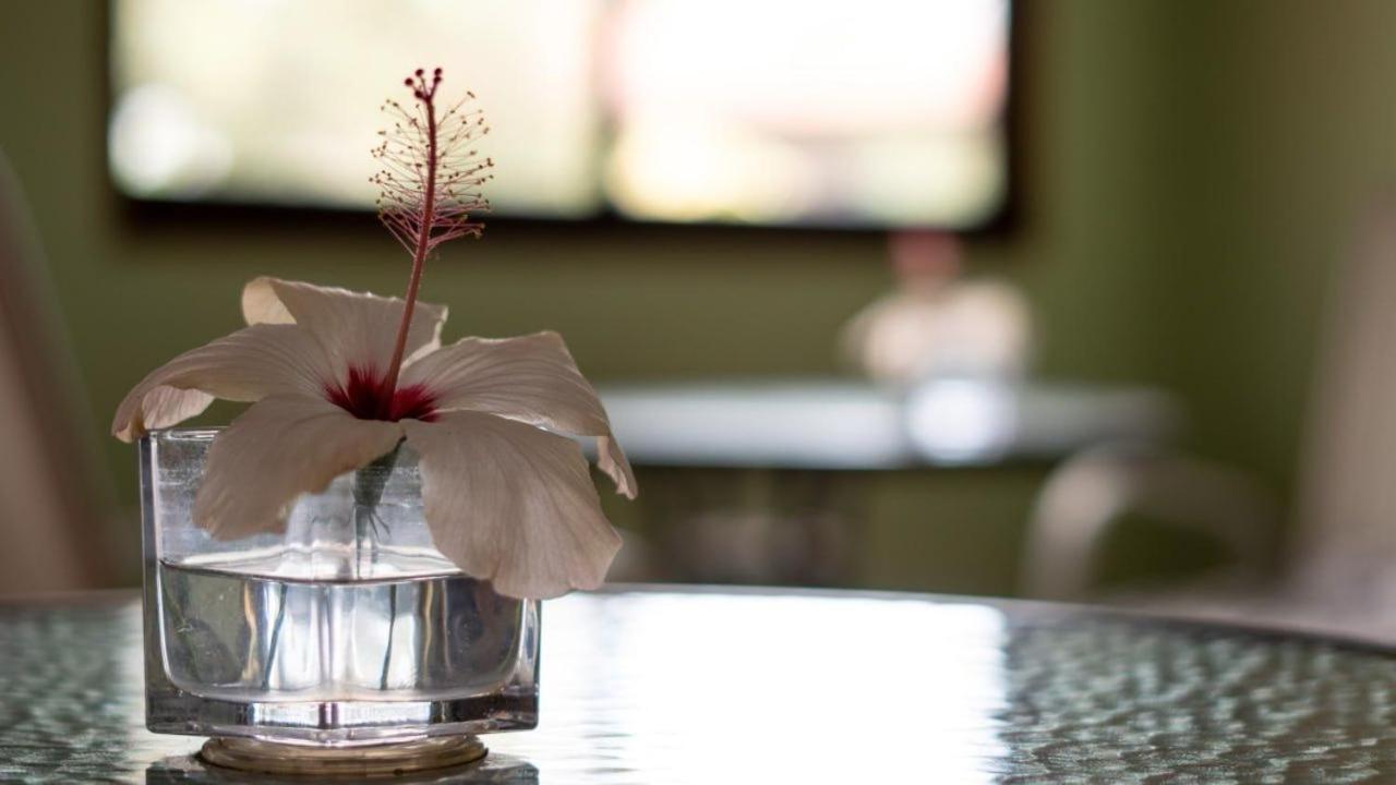 Petero Atamu Hotel Hanga Roa Ngoại thất bức ảnh